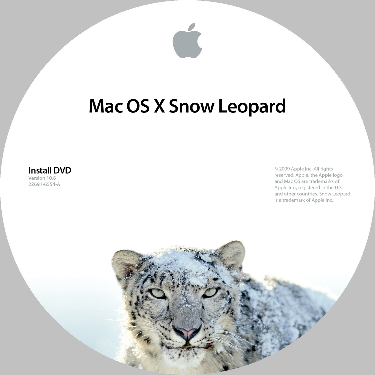 mac os x snow leopard emulator for windows 10